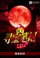 海上寻宝笔记免费阅读