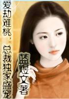 总裁独家盛宠全文