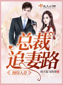 总裁只欢不爱免费全文