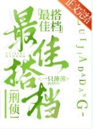 最佳搭档刑侦番外