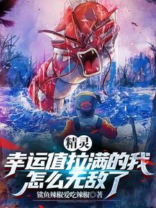 精灵六式开局的训练