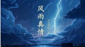 风雨真情结尾首尾呼应