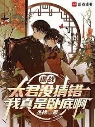 我真是卧底啊精校版免费