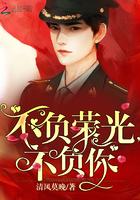 不负荣光不负你虐吗
